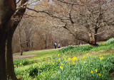 Signs of spring  1