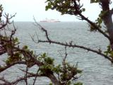 Spirit of Tasmania at sea