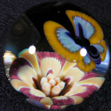 Pansy Peace  Size: 1.42  Price: SOLD