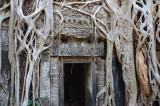 Ta Phohm temple.Siem Reap