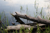 lac Solitaire.la Mauricie NP