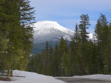 IDMtBFullS654.jpg