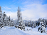 Winter, Lindsay Loop