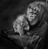 Bess and Kasih Black and White