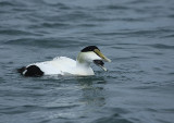 IMG_7824_2.jpg