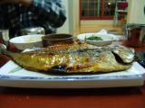 angdong kodungo- salted mackerel from angdong