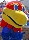 Kansas Jayhawks mascot