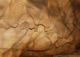 Mammoth Cave formations created by flowing water