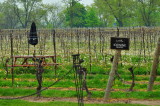 Inskeller Winery 10.JPG