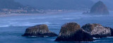 Moon Over Ecola State Park full size 18x48 crop