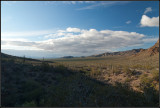 Cactus Valley