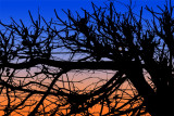 Chinese shadow Sunset