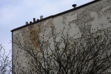 Le haut du mur