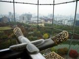 From the top of Osaka Castle