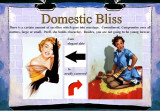 domestic bliss: book 7