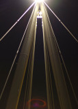 Bridge Cables_5882