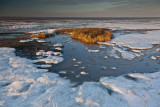 Frozen Seasalter 66