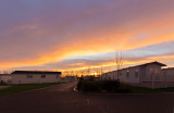 Woodland Park Sunrise