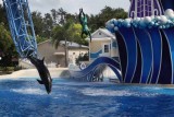 2010_fla_d4_051.jpg