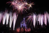 2011_fla_d8_465.jpg