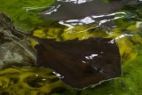2011_fla_d2_007.jpg