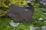 2011_fla_d2_008.jpg