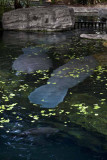 2011_fla_d2_028.jpg