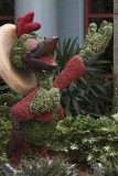 2011_fla_d12_029.jpg