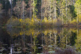 Lake near Kamparkalns