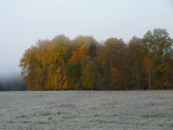 Cold autumn morning near Mengele