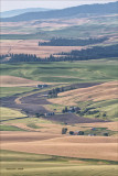 Palouse country, from Steptoe Butte