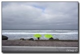 Two Green Umbrellas