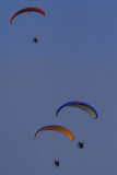 IMG_0293 copy.jpg