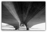 IMG_7216 copy.jpg