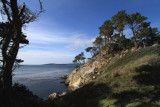 IMG_5518 copy.jpg