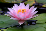 IMG_2255 copy.jpg
