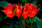 IMG_1201 copy.jpg