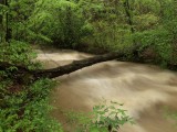 Drive-Creek 09.jpg