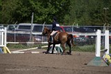 IMG_8729.jpg