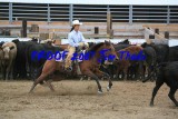 IMG_5980.jpg