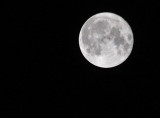 Perigee Super Moon March 2011