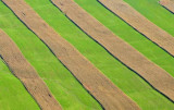 Farm Geometries