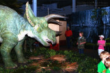 Triceratops - IMG_0622.JPG
