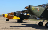 War Horses - IMG_5152.JPG
