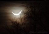 Moon Smile - IMG_6757.jpg