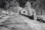 Resize of _DSC2078.jpg