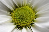 Resize of _DSC7916.jpg