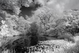 Resize of _DSC3320.jpg