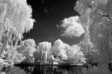 Resize of _DSC3342.jpg