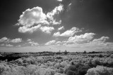 Resize of _DSC3369.jpg